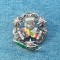 Insigna Passau Bayern Germania / floare de colt , pin flori