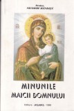 Protos. Nicodim Mandita - Minunile Maicii Domnului