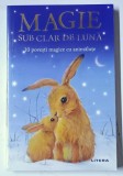 MAGIE SUB CLAR DE LUNA , 10 POVESTI MAGICE CU ANIMALUTE , ilustratii de ALISON EDGSON , 2019