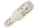 Siguranță &icirc;nt&acirc;rziată 2A 400VAC 250VDC D01, Hager