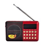 Radio FM portabil YG011, USB/TF/AUX, acumulator