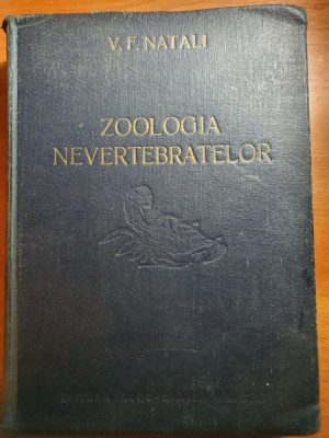 zoologia nevertebratelor din anul 1954 foto