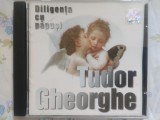 Tudor Gheorge-Diligenta cu papusi