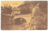 4216 - Baile HERCULANE Caras Severin, Bridge, Cerna river, Romania - old postcard - unused
