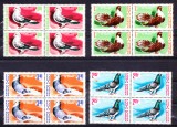 TSV% - 1981 LP 1028 COLUMBOFILIE, PASARI, BLOC X 4 MNH/** LUX, Nestampilat