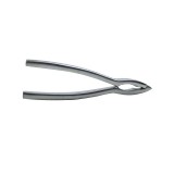 Cleste pentru homar, 16 cm