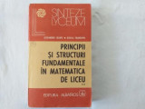 R. Trandafir A. Leonte - Principii si structuri fundamentale in matematica de liceu - vol 2