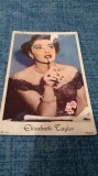 CARTE POSTALA - ELIZABETH TAYLOR NECIRCULATA