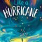 Like a Hurricane
