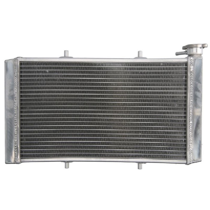 RADIATOR YAMAHA YXC YXE YXM 700 2014 2022