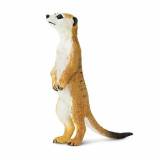Figurina - Meerkat | Safari