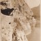 Drumul lui Sz&eacute;chenyi (scrisa)