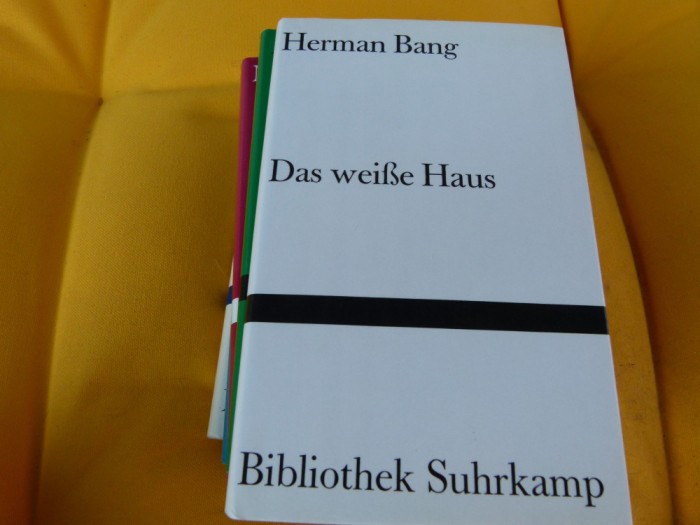 Die weise Haus - Herman Bang
