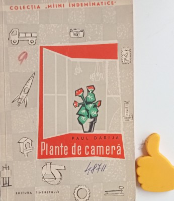 Plante de camera Paul Dabija foto