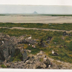 FA27-Carte Postala- FRANTA - Mont Saint Michel, circulata 1968