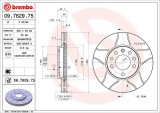 BREMBO 09.7629.75 XTRA LINE - Max Disc frana