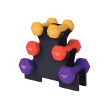 Cumpara ieftin Set 6 gantere Songmics Negru 34x30x14.5 cm