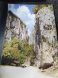 Doua carti postale judetul Gorj: Pestera Polovragi si Cheile Oltetului, Necirculata, Fotografie