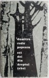 Cei doi din dreptul Tebei - Dumitru Radu Popescu - Roman