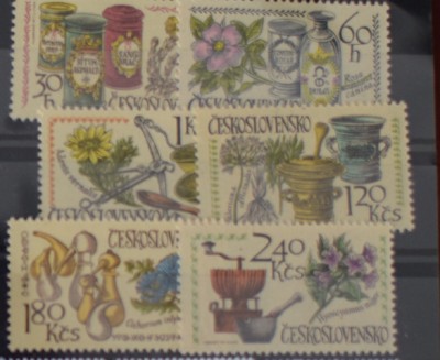 TS24/01 Timbre Czechoslovakia - Nestampilat - Flora foto