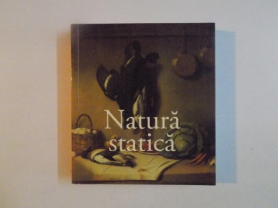 NATURA STATICA , 2008 foto