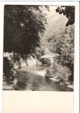 CPI B13775 CARTE POSTALA - BAILE HERCULANE. VALEA CERNEI, RPR, Necirculata, Fotografie