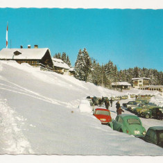 AT5 -Carte Postala-AUSTRIA- Dornbirn, Wintersportplatz Bodele , circulata 1970