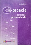 Capcanele Analizei Gramaticale - St. M. Ilinca, Aramis, Romana, Eseuri Critica Literara