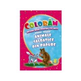 Animale sălbatice din pădure. Desene mari pentru cei mici rom&acirc;nă-engleză - Paperback - Eurobookids