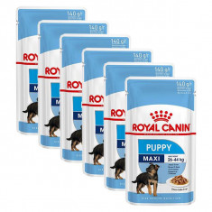 Plicule? Royal Canin Maxi Puppy 6 x 140 g foto