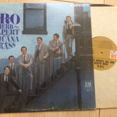 Herb Alpert & The Tijuana Brass S.R.O. disc vinyl lp muzica mariachi latino USA