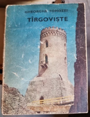 Targoviste - Gheorghe Tomozei foto