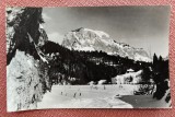 Vedere spre Suhard de la Lacul Rosu - Circulata, 1963