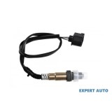 Sonda landa Chrysler Voyager 4 (2000-2008) [RG] #1