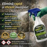 SchimmelX- Elimină toate tipurile de mucegai, protej&acirc;nd perfect suprafețele