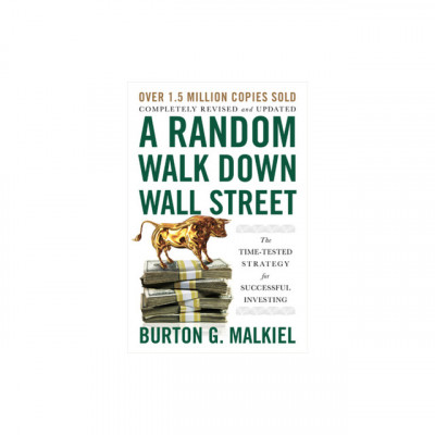 A Random Walk Down Wall Street: The Time-Tested Strategy for Successful Investing foto