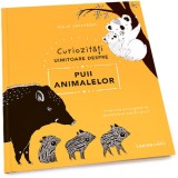 Curiozitati Uimitoare Despre Puii Animalelor - Maja Safstrom - Carte, Atlas, Enciclopedie