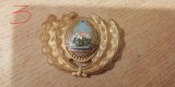 QW14 - Emblema militara / cuc - uscat - comunism - piesa de colectie