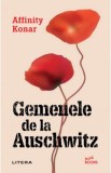 Gemenele de la Auschwitz - Affinity Konar