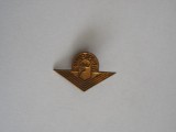 QW9 J 90 - Insigna - tematica pionieri - Pionier sportiv - varianta monocroma, Romania de la 1950