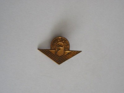 QW9 J 90 - Insigna - tematica pionieri - Pionier sportiv - varianta monocroma foto