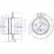 DELPHI BG3943 Disc frana