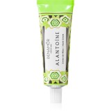 Benam&ocirc;r Alanto&iacute;ne Creme de m&atilde;os Protect crema de maini 30 ml