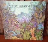 Disc vinil - Coliba unchiului Tom NM-