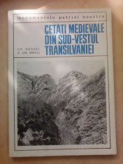 Cetati medievale din sud-vestul Transilvaniei - GH. ANGHEL si ION BERCIU foto