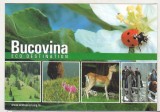Bnk cp Bucovina - Destinatie ecoturistica - Vedere - necirculata, Printata, Suceava