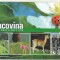 bnk cp Bucovina - Destinatie ecoturistica - Vedere - necirculata