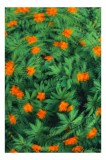 Tablou Canvas Motiv Floral Natural - Armonia Naturii, 26 x 39 cm, CMCLASS