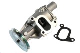 Pompă de apă, răcire motor FIAT SEICENTO / 600 Caseta/ Hatchback (287_) (1998 - 2010) THERMOTEC D1F045TT