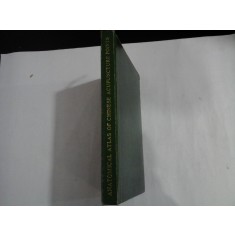 ANATOMICAL ATLAS OF CHINESE ACUPUNCTURE POINTS - China, 1982